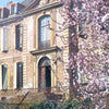 "Pink Blossom"- Downloadable Image