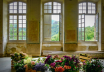 “Flowers In Waiting” - Downloadable Image