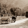 "Horse & Carriage" - Downloadable Image