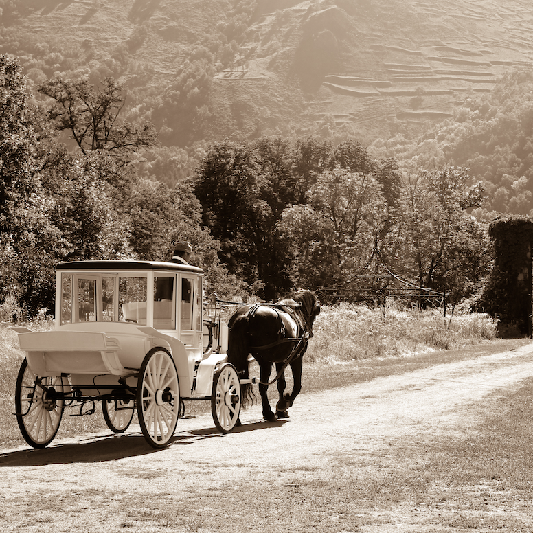 "Horse & Carriage" - Downloadable Image