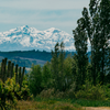 "Snow-Capped Mountains"- Downloadable Image