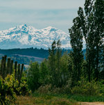 "Snow-Capped Mountains"- Downloadable Image