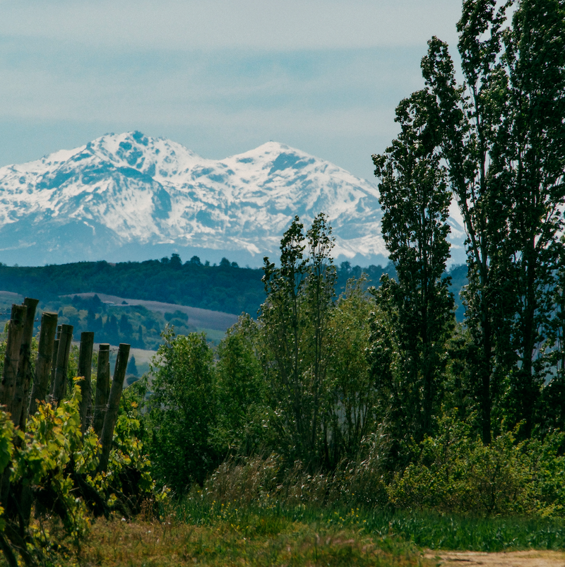 "Snow-Capped Mountains"- Downloadable Image