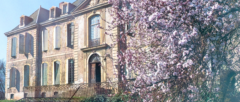 "Pink Blossom"- Downloadable Image